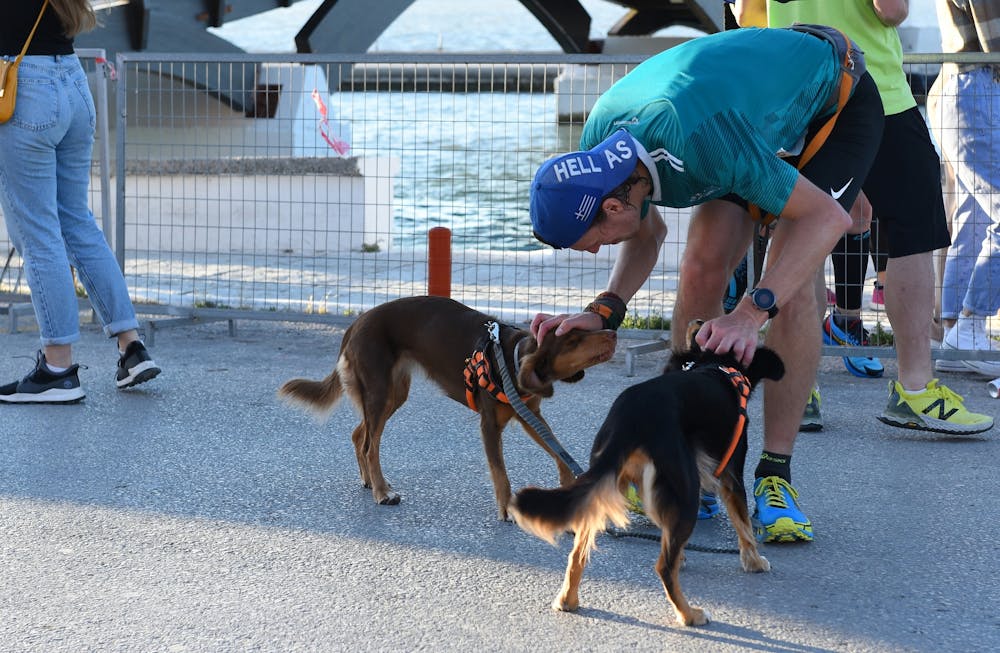 10ος Πράσινος Ημιμαραθώνιος Λευκάδας: Τερμάτισε παρέα με τους σκύλους του! runbeat.gr 